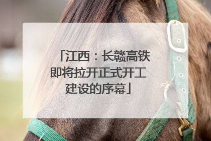 江西：长赣高铁即将拉开正式开工建设的序幕